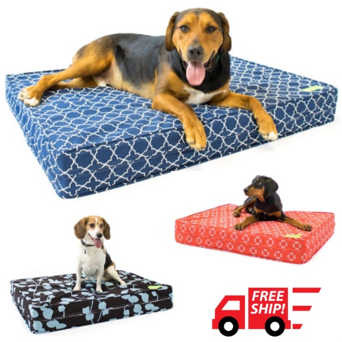 dog beds clearance