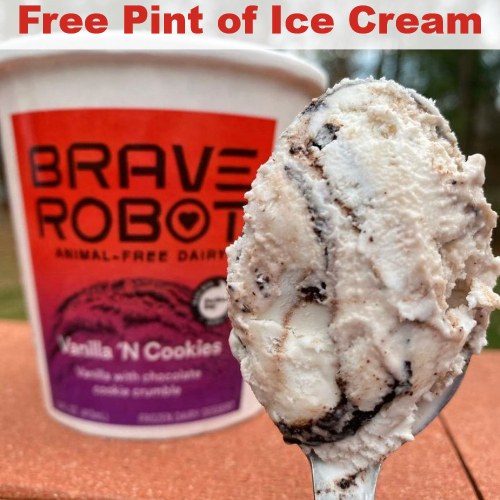 is brave robot ice cream healthy