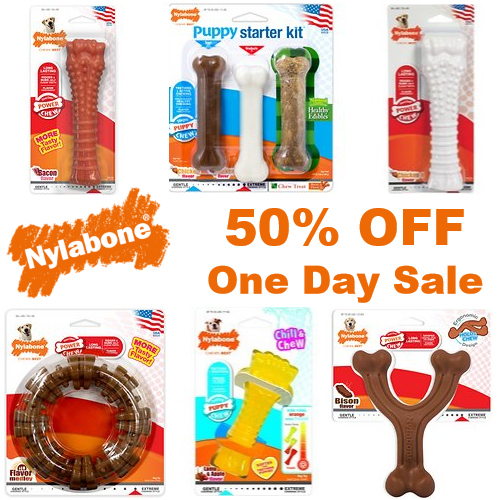 Chewy Sale 50 off Nylabone Products